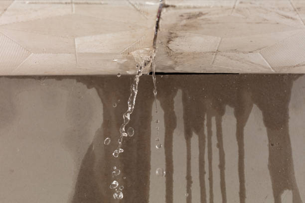 Professional Flood Damage Cleanup technician working in Zephyrhills, FL